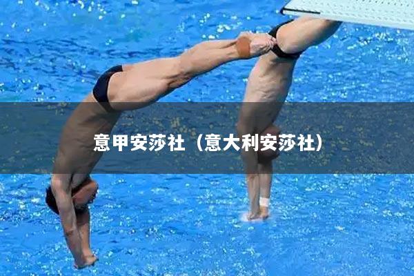 意甲安莎社（意大利安莎社）