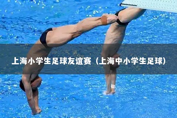 上海小学生足球友谊赛(上海中小学生足球)